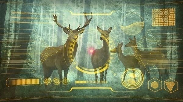 星之终途游戏(1)