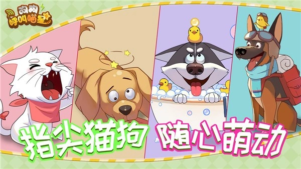 狗狗呼叫喵星(2)