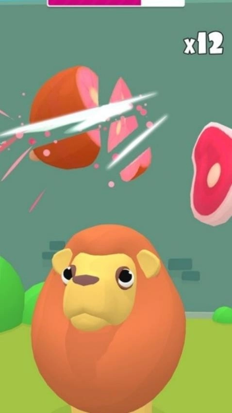 宠物乐园之旅游戏(2)