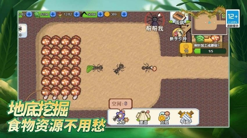 岛上我最溜游戏(1)