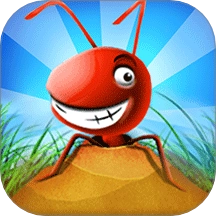 岛上我最溜游戏