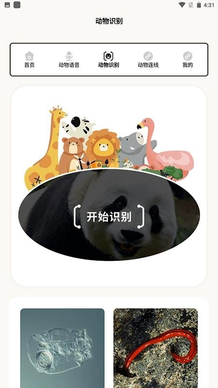 动物世界i免费版