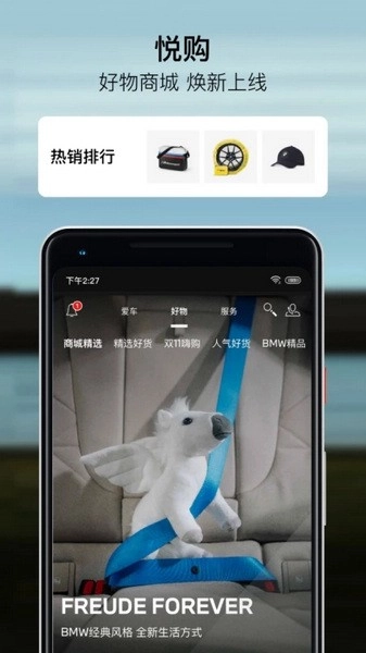 MyBMW图3