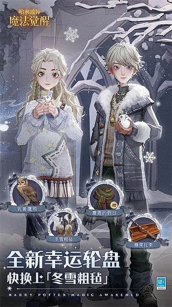 哈利波特:魔法觉醒图5