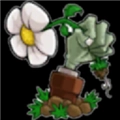 植物大战僵尸逆天版