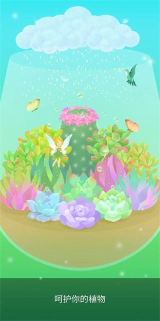 MyLittleTerrarium(3)
