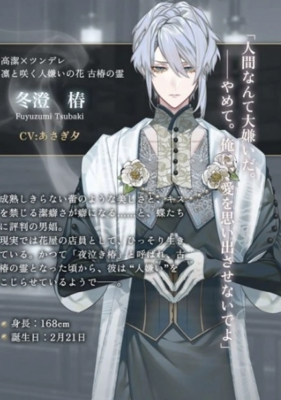 梦幻楼与不眠之蝶汉化版