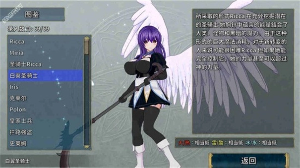 圣骑士莉卡物语安卓移植版(1)