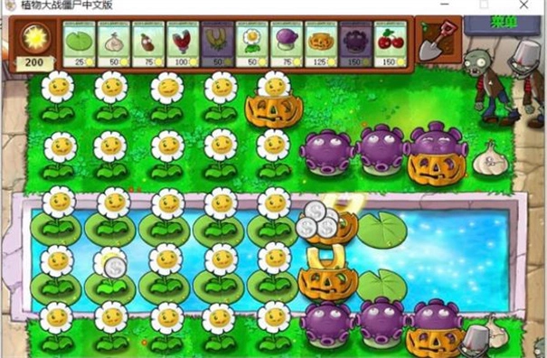植物大战僵尸1老版6