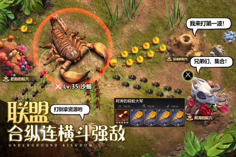 小小蚁国国际服图3