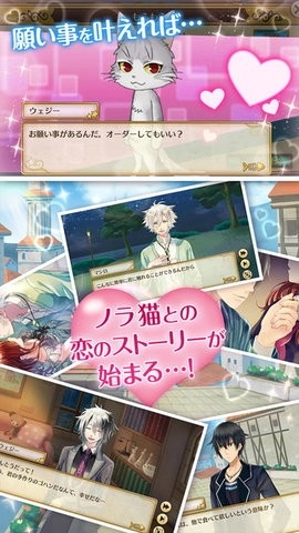 与流浪猫的恋爱炼金术（ノラ恋）(1)