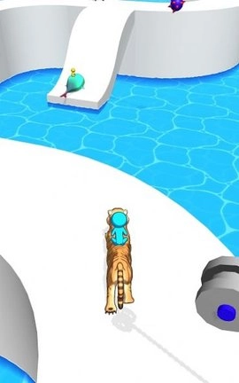 换坐骑赛跑（MountRun）