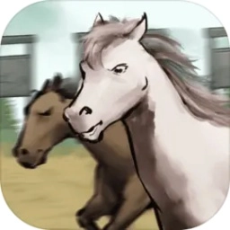 赛马也疯狂 V1.0.4