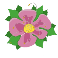 漂移回归(DriftBacks)