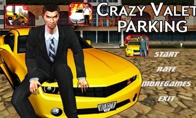 疯狂泊车王（CrazyValetParkingKing3D）图1