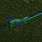 生存战争2武侠版 V3.0