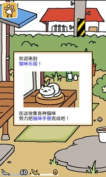 猫咪后院