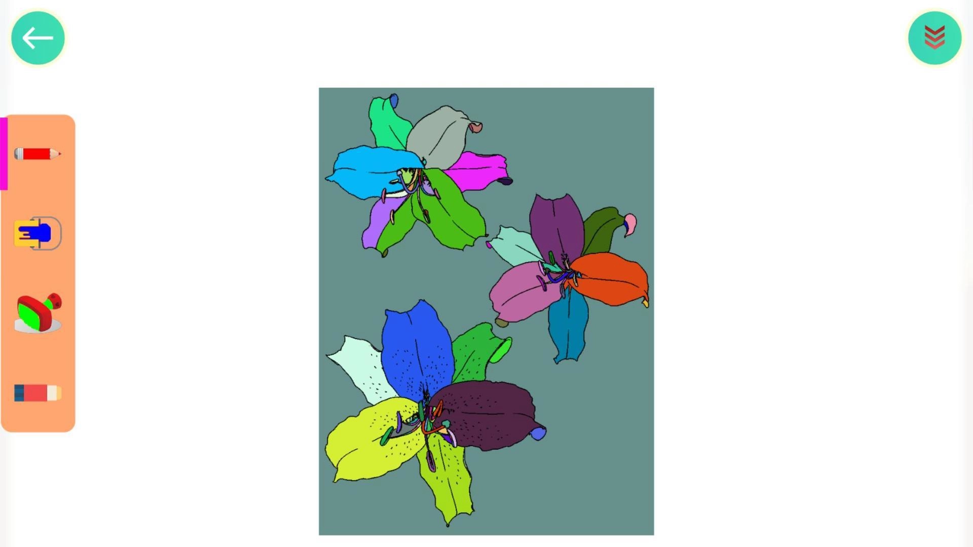 植物涂色世界HD图1