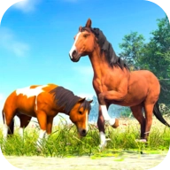养马模拟器