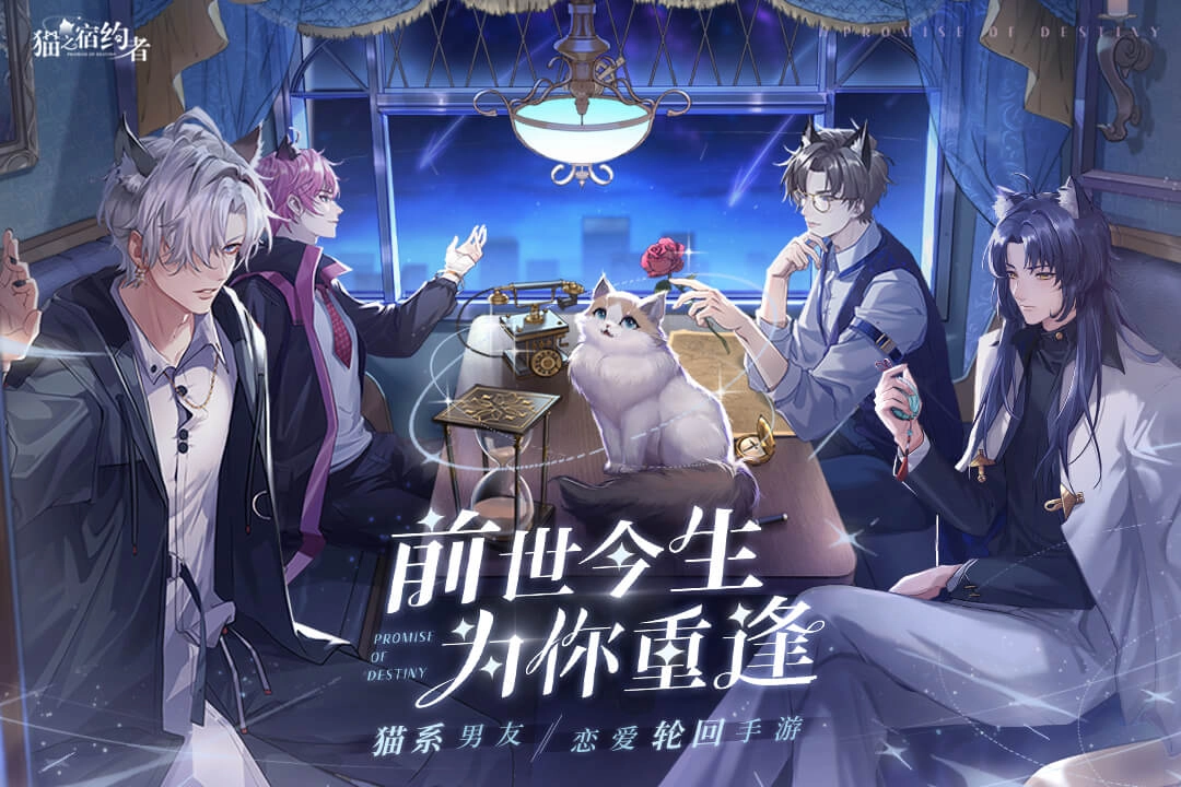 猫之宿约者2023安卓版最新版
