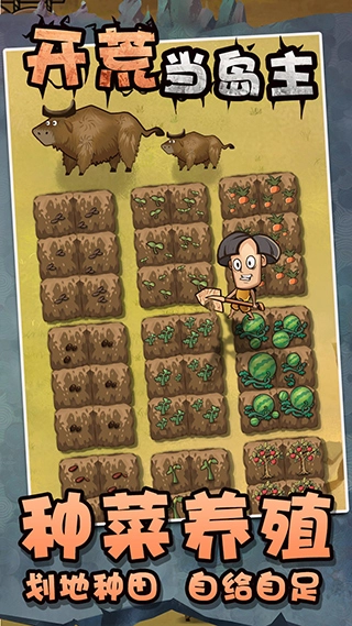 开荒当岛主安卓版
