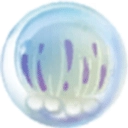 合成大水母(jellyfish) V1.0