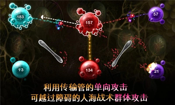 繁殖战争2中文版3