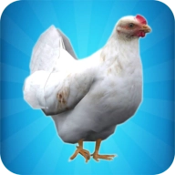 一只特立独行的鸡