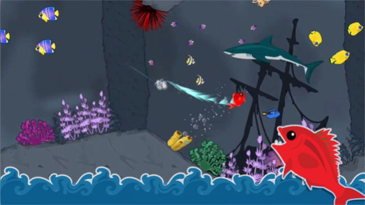 这片鱼塘我承包了图1