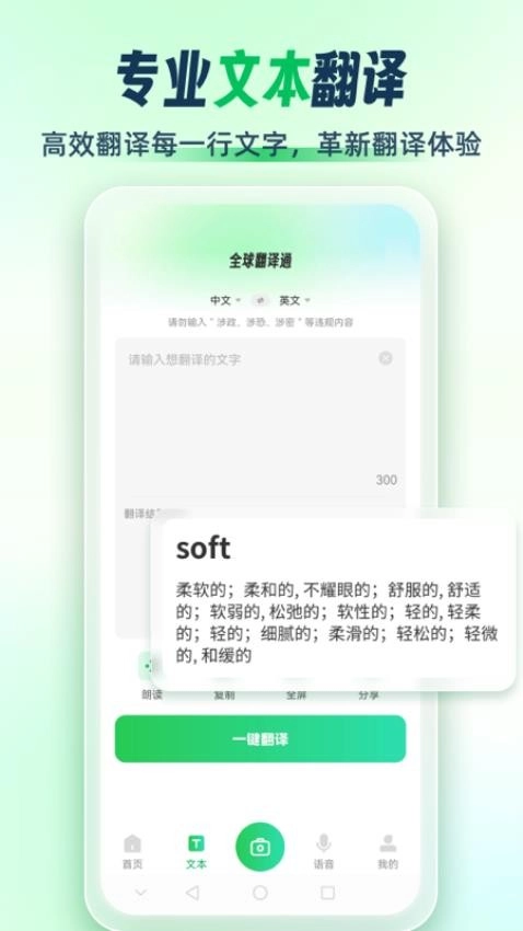 全球翻译通图4