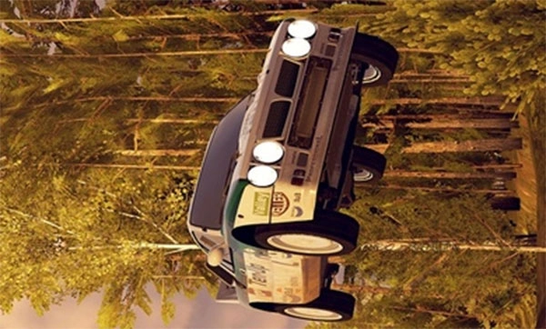 CarX拉力赛中文版(1)