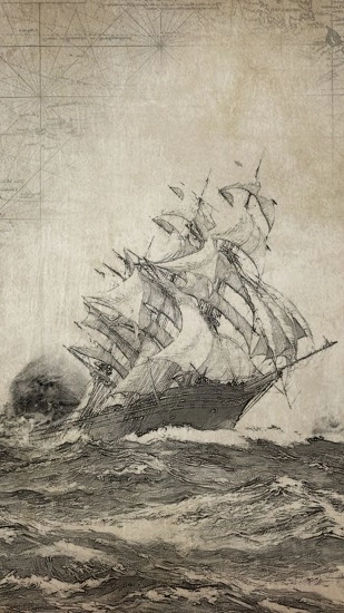 荒岛求生游戏图5