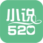 小说520