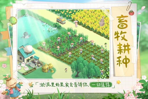 向往的生活截图1