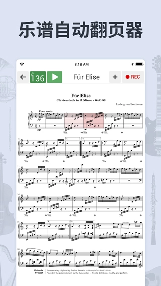 调音器和节拍器图3