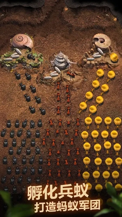 蚂蚁地下王国游戏(1)