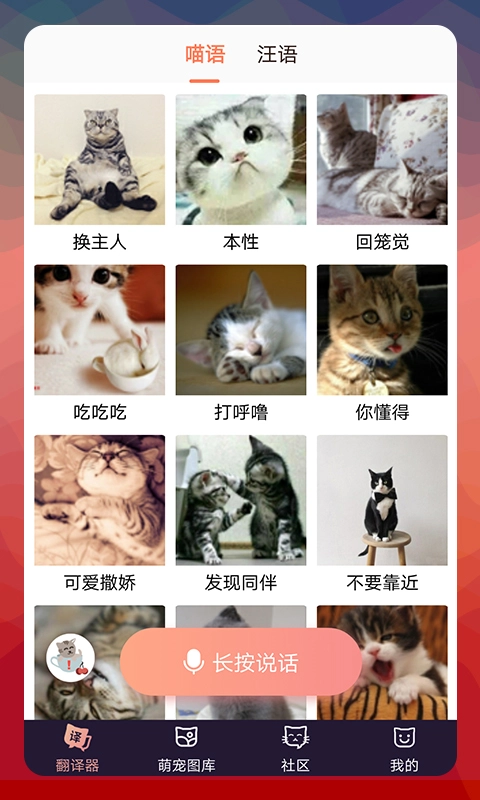 猫语翻译器中文版(4)
