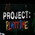 ProjectPlaytime