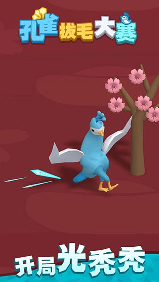 孔雀拔毛大赛图3