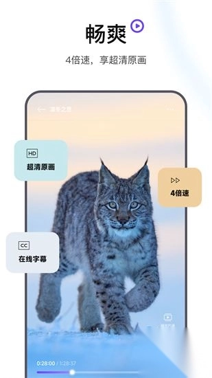 迅雷浏览器手机版图5