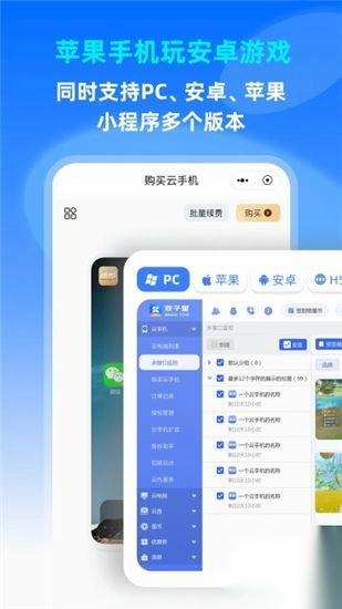 双子星云手机(2)