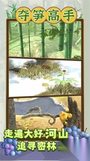 夺笋高手官方正版图5