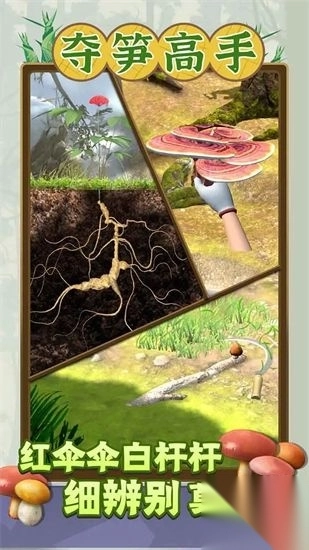 夺笋高手官方正版图1