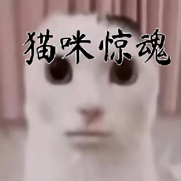 猫咪惊魂手机版