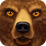 森林动物模拟器