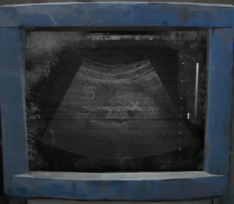 纸嫁衣8 第9张图