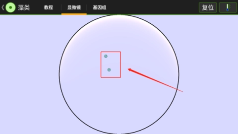 细胞实验室 第3张图