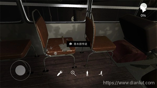 孙美琪疑案张红君