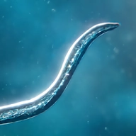 Bionix孢子的开始