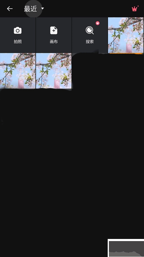 专业照片编辑器图2